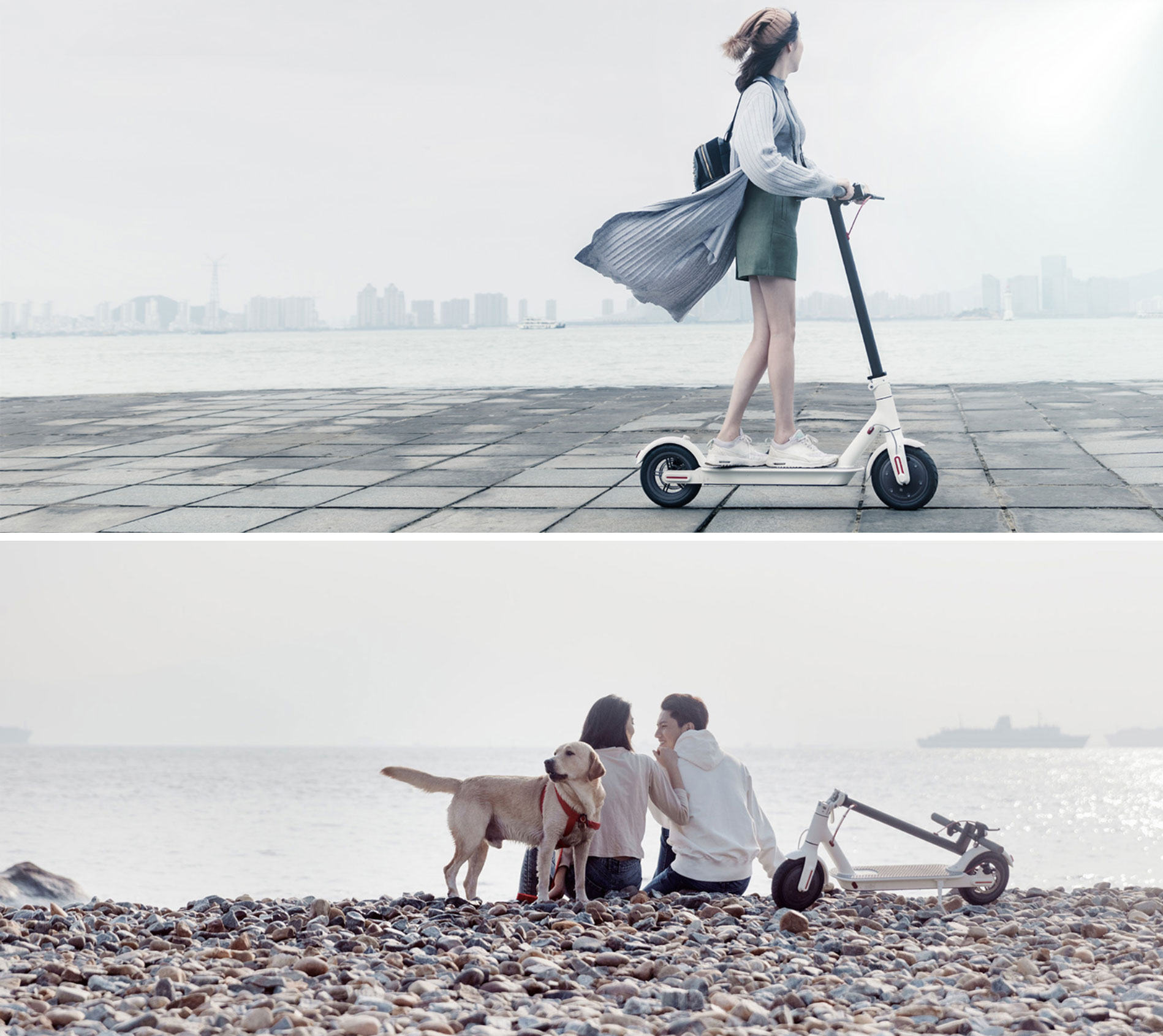 Xiaomi M365 Folding Electric Scooter with Two Spare Tyres- Black