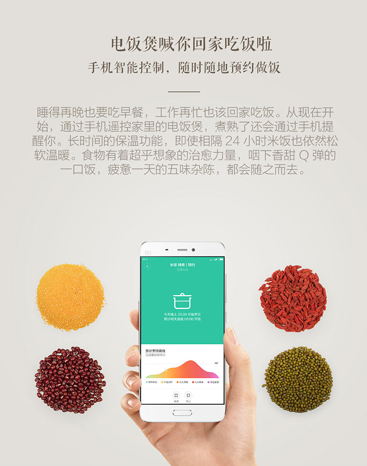 小米米家IH压力电饭煲