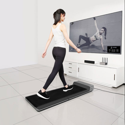 Xiaomi Walkingpad Folding Walking Machine Gym Equipment Fitness