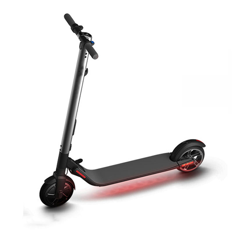 Ninebot ES2 Kick Scooter Folding Electric Scooter for Adults/Kids 36V 300W 25km/h Max Load 100kg